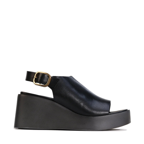 ariani - w