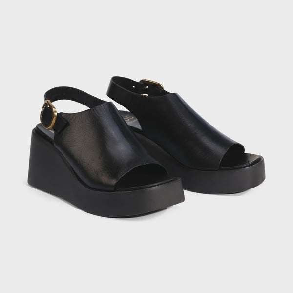 ariani - w